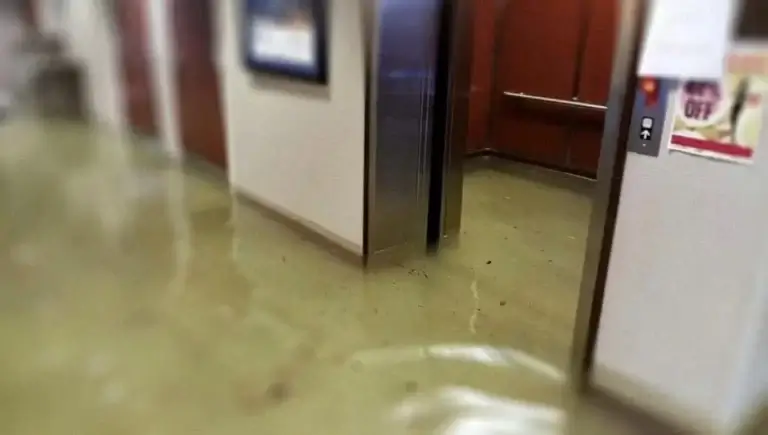 z6763898050955 d9813d809c0de573fa2a79ce0af20e13 768x435 1